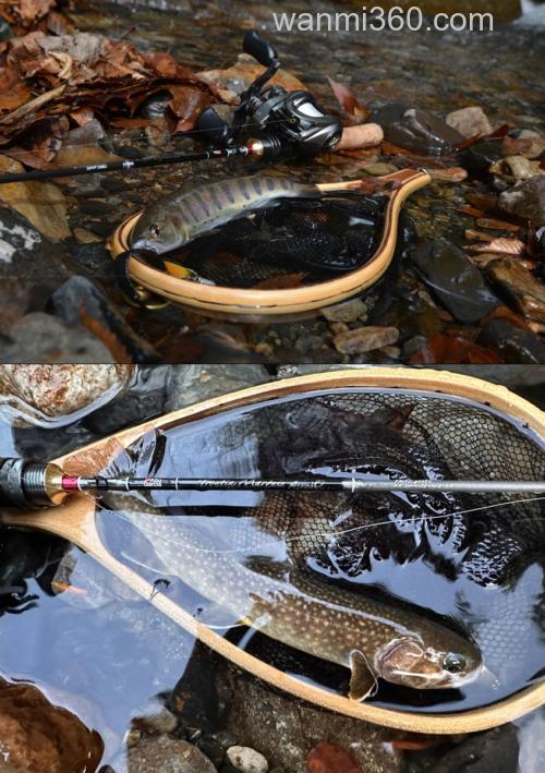 全面改款T1100G加持 AbuGarcia Troutin Marquis Asrai 鳟鱼竿_6
