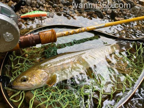 Bait Finesse玩味!Tiemco FS53CL-3J _0