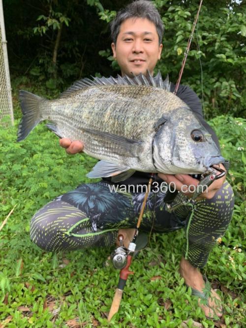 联名纪念款式!Jointer×Fishman Beams blancsierra Equality鳟鱼竿_6
