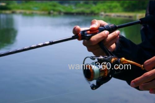 性价型 DAIWA IPRIMI 管钓鳟鱼竿_0