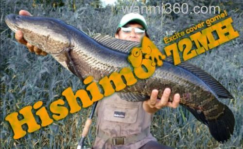 2016全新更新! Zenith HISHIMO 雷强竿_0