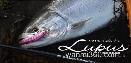 大物应对 Yamaga blanks Lupustz 鳟鱼竿_0