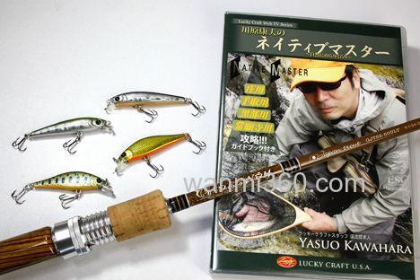山鳟专属 2014 Taper&dshape glassway NEW Japan trout 鳟鱼竿_0