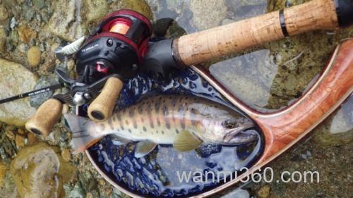 本山博之精细理念 SMITH Be Sticky Trout 枪柄鳟鱼竿_2