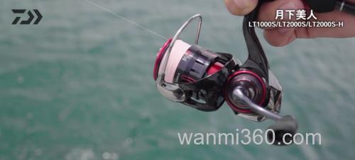 美人焕颜 DAIWA 2023 月下美人 纺车轮_6