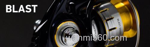 咸水实惠机型 DAIWA BLAST 纺车轮_0