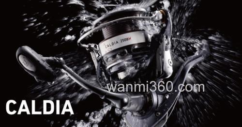 2014 中级泛用 DAIWA CALDIA 纺车轮_0