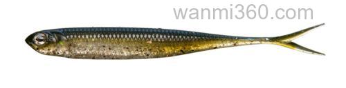 Fisharrow Flash-J SPLIT ABALONE 3″/4″_1