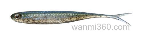 Fisharrow Flash-J SPLIT ABALONE 3″/4″_2