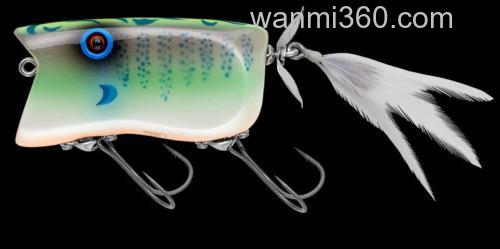 水面蓝鳃 NORIES GILL TOP_3