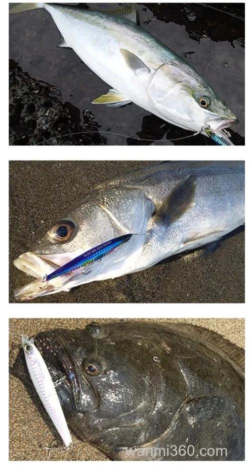 用法简单 DUEL HARDCORE 重击 85mm/105mm 咸水远投铅笔_1