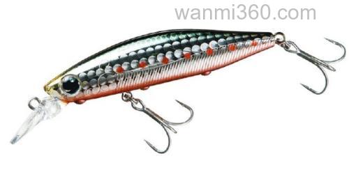 港口猎鲈专用 DAIWA MORETHAN BAYSOLE 73s/73s DR MINNOW_1