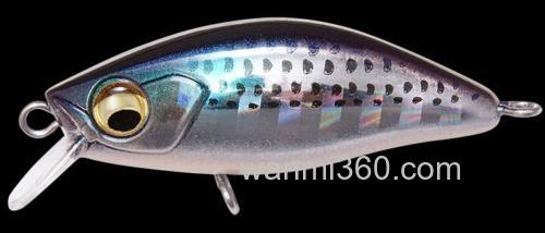 根系专属小玩物 Megabass BEAGLE_4