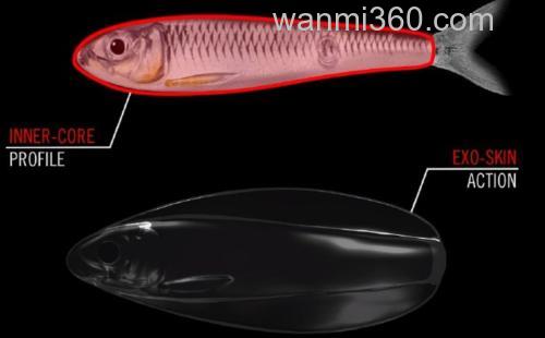 勺子鱼 Livetargetlures ERRATIC SHINER_3