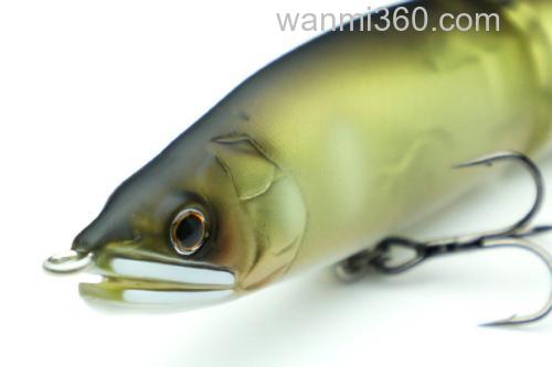 平岩孝典之作 GanCraft 日本の小魚 Bait Fish 15周年纪念_1