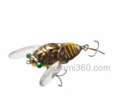 TIEMCO Cicada Origin 水面蝉_2