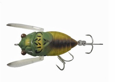 TIEMCO Cicada Origin 水面蝉_1