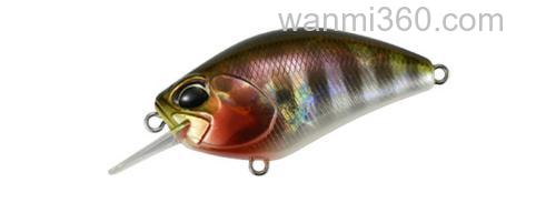 速度搜 DUO REALIS CRANK55SR KABUKI_1