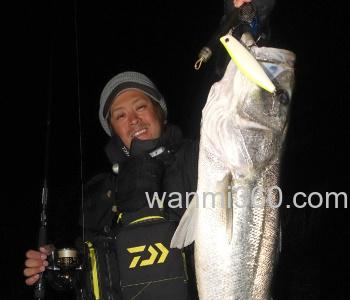 海鲈青物专攻 DAIWA MORETHAN GALVA STRONG_2