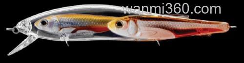 清水攻略Livetarget EMERALD SHINER Jerkbait_6