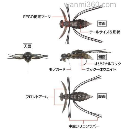 蜂虫 Evergreen GIZMO_4