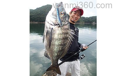 声音冲击波 DUEL 3D INSHORE® PENCIL (F) 水面铅笔_2