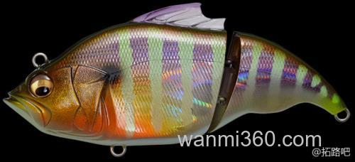自在变换 MEGABASS VATALION_1