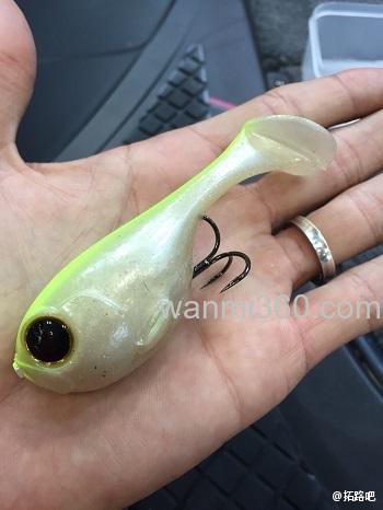 萌玩具 Jackall DERABALL_1