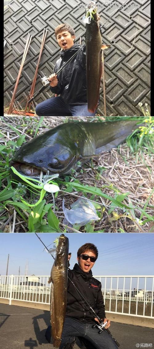 鲶诱 Megabass NOISY CAT BUZZ_2