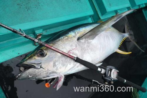 大物专用 Fishman BRIST HYDRO 8.5XXH 强力多节便携远征竿_1