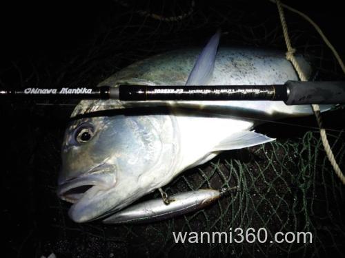 追加强力规格 Tailwalk OKINAWA MANBIKA岸抛铁板竿_0