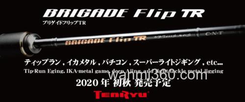 Tenryu BRIGADE Flip TR 轻量船钓泛用竿_1