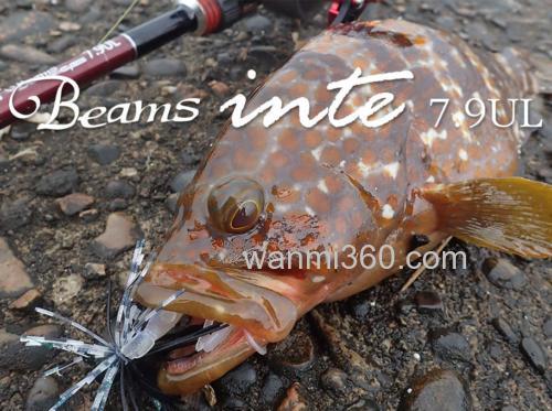 1克远抛的可能 Fishman Beams inte 7.9UL 咸水小物竿_0