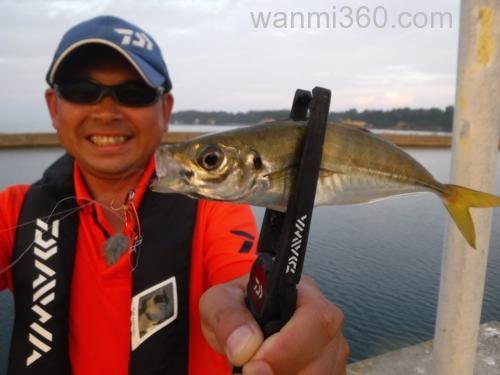 最轻美人 DAIWA 19 月下美人 AIR AGS AJING 竹荚鱼竿_0