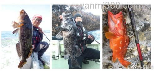 超越前作 AbuGarcia Eradicator Rocksweeper 大根竿_5