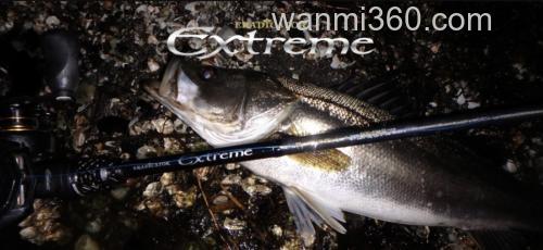 全新性能 AbuGarcia Eradicator Extreme 海鲈竿_0