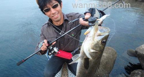 全新性能 AbuGarcia Eradicator Extreme 海鲈竿_4