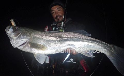 Fishman BeamsCRAWLA L+系列 便携旅行竿_2