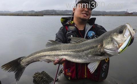 Fishman BeamsCRAWLA L+系列 便携旅行竿_8