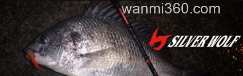 黑鲷专用竿 DAIWA SILVER WOLF MX_0