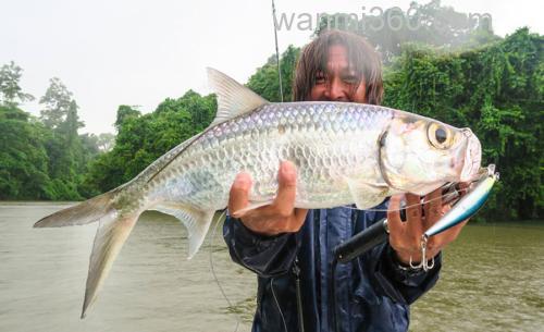 远征擒大物 Fishman BC4 5.10LH/MXH/XH 便携旅行大物竿_0
