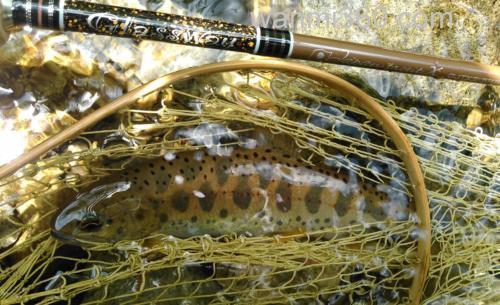 细化玩味 Taper&dshape 19 Glassway Japan trout X 鳟鱼竿_0