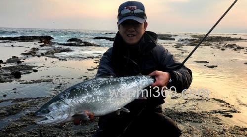 全新升级 AbuGarcia Troutin Marquis Northern Custom 大鳟竿_1
