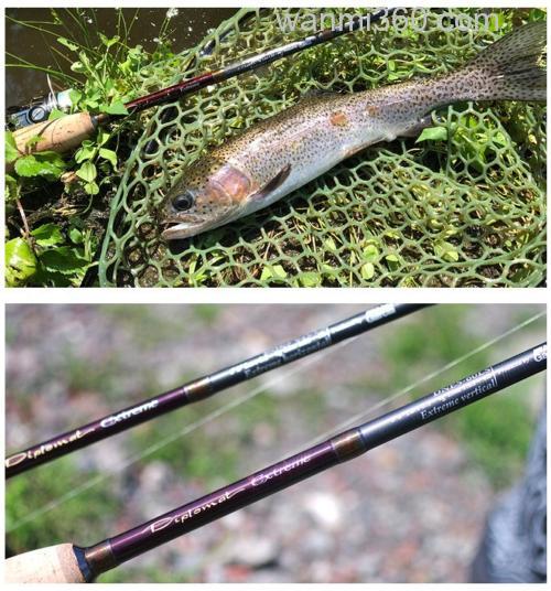 高阶款式 AbuGarcia Diplomat Extreme 管钓鳟鱼竿_2