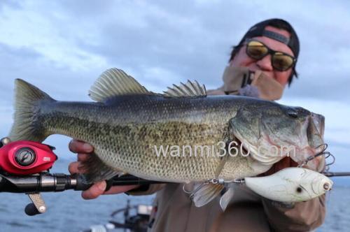 强力火箭!AbuGarcia 2020 REVO BEAST ROCKET 水滴轮_1