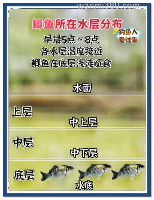大连初春野钓鲫鱼 选对时间钓位好上鱼