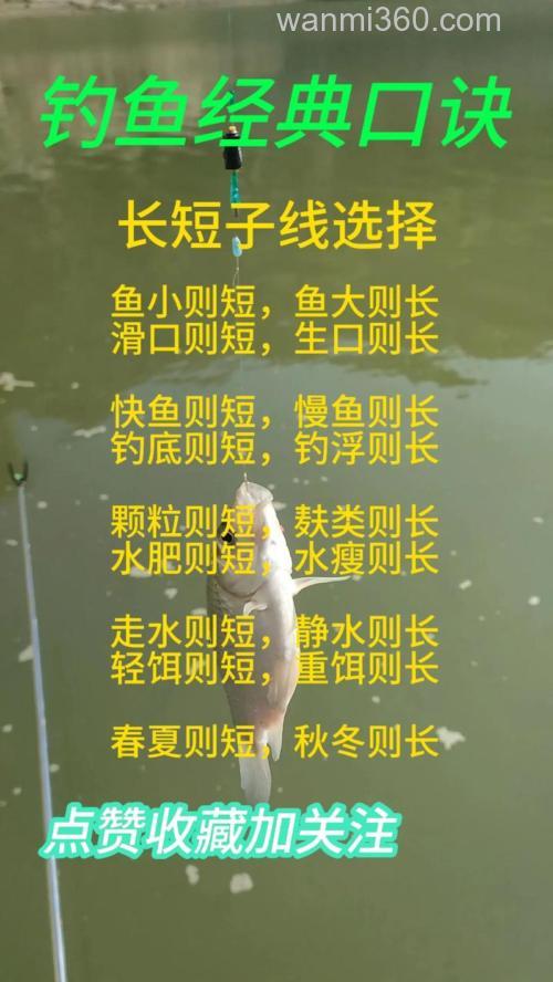 四季野钓技巧:春钓浅滩夏钓早晚,老钓友从不外传的选位秘诀