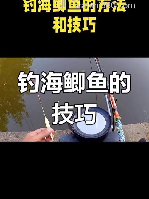海钓偏口鱼技巧:用什么饵最容易上钩?老钓友教你避开提竿误区