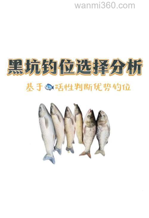 不玩黑坑野钓技巧 野钓鲫鱼饵料配方钓位选择