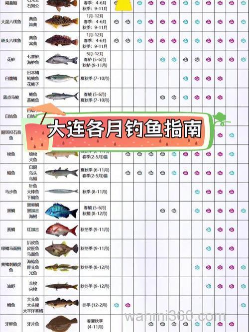 2026大连海钓新规,三月这些钓点鱼最多
